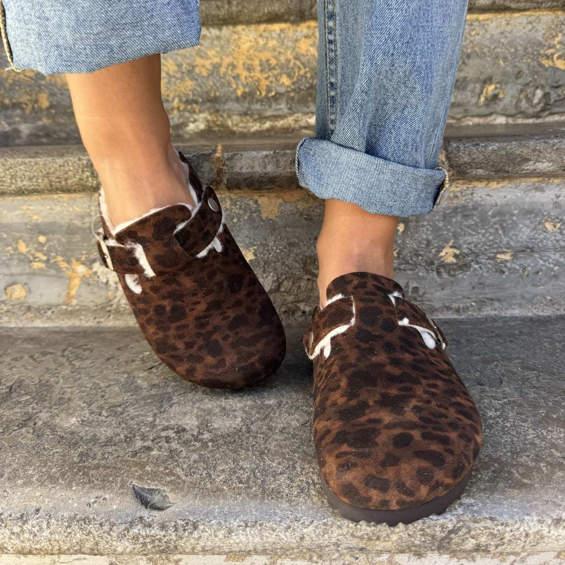 other and step mules sewi leopard  (5)