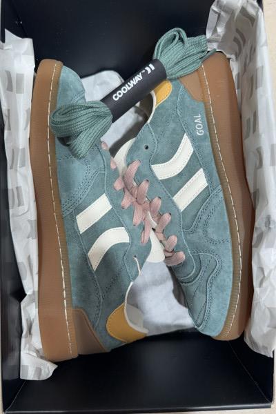 coolway basket goal wgr vert 