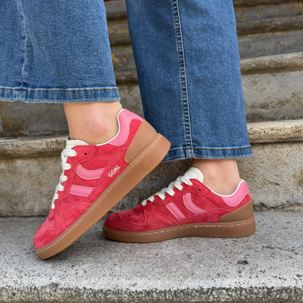 COOLWAY BASKET GOAL FRAMBROISE