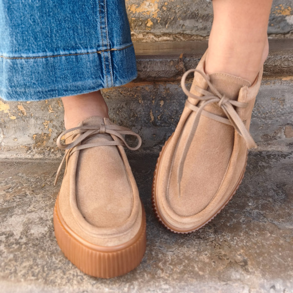 derbie we do co22329 bardon carrara 