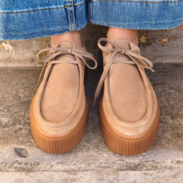 derbie we do co22329 bardon carrara 