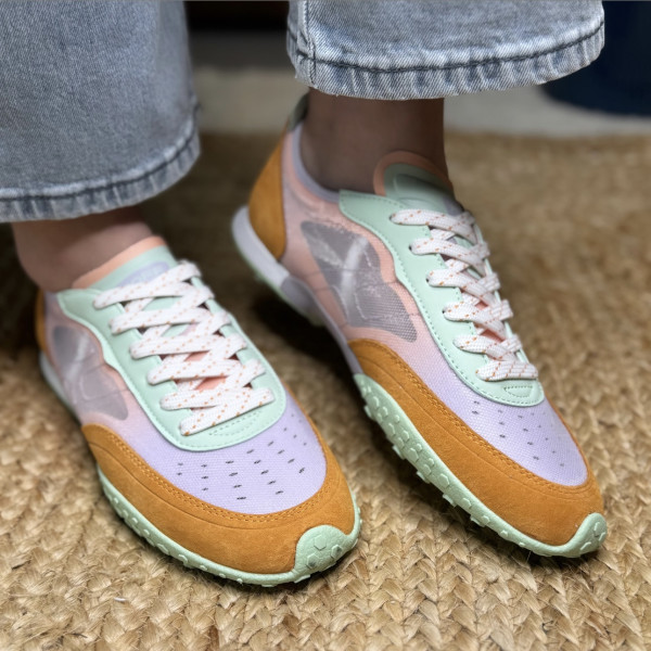 hoff basket parrot 0006 